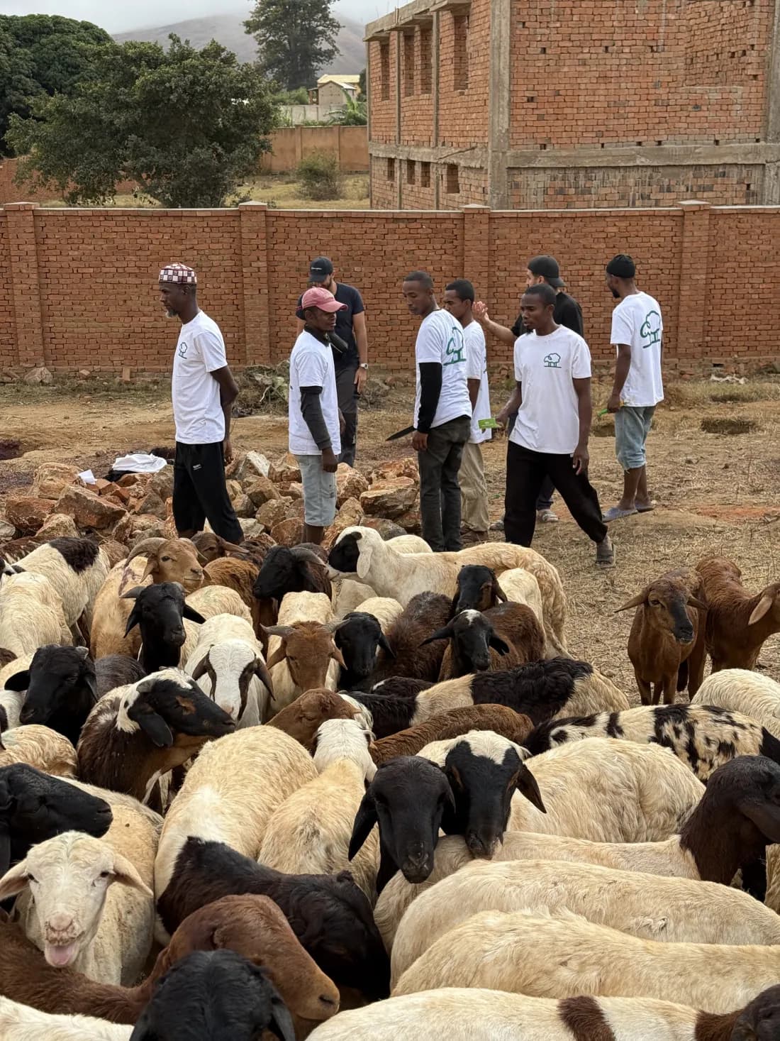 Repas partagé grâce aux dons des contributeurs Qurban