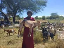 مستفيدون يتلقون لحم العيد